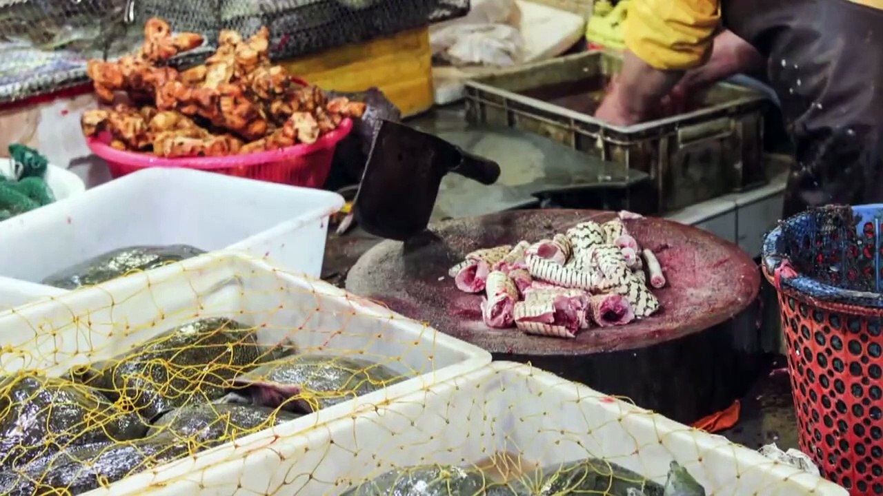 Les chasseurs de Virus, à la poursuite de la bête qui a arrêté le monde | movie | 2020 | Official Trailer