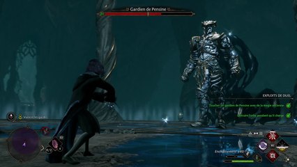 Hogwarts Legacy : Boss 02, Gardien de Pensine