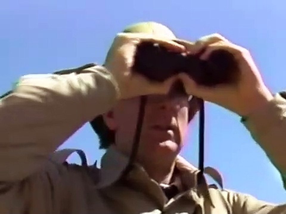 More Dinosaurs | movie | 1985 | Official Teaser