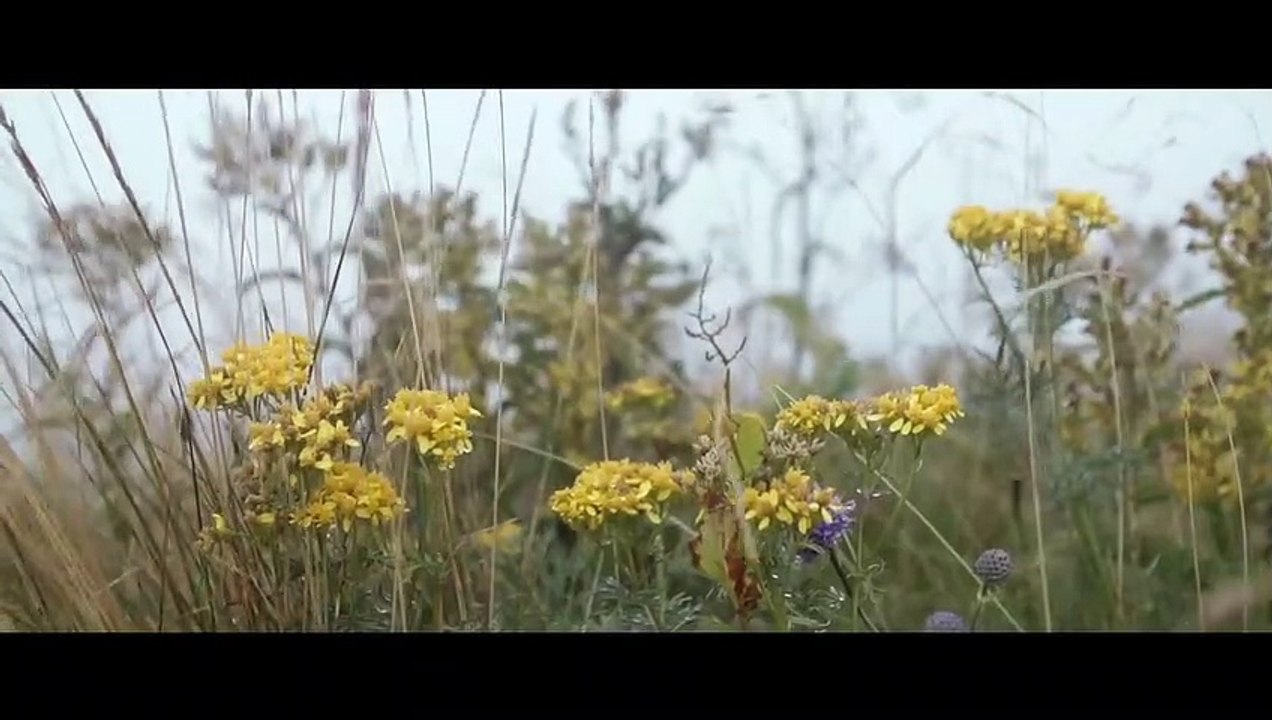 Origines - Une traversée du Massif Central par Thomas Lorblanchet | movie | 2015 | Official Teaser