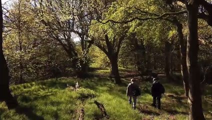 Bringing Down the Light | movie | 2019 | Official Teaser