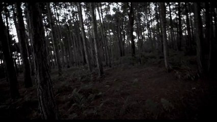 this is not the end | movie | 2019 | Official Teaser