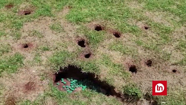 Meio Ambiente apura veneno jogado em ratos do 'terminal' de Apucarana