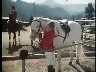 Lightning, the White Stallion | movie | 2009 | Official Trailer