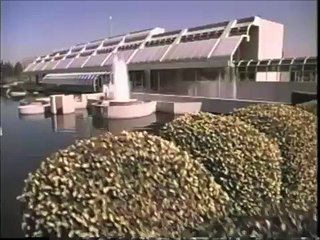 Sorceress II: The Temptress | movie | 1997 | Official Trailer