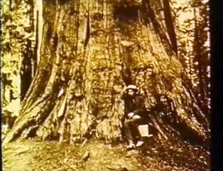 Eadweard Muybridge, Zoopraxographer | movie | 1975 | Official Trailer