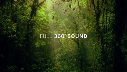 Dolby Atmos Demonstration Disc: August 2014 | movie | 2014 | Official Trailer