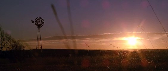 Wrong Side Up | movie | 2014 | Official Trailer