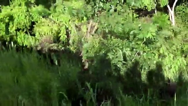 Among Snakes and Ladders, Missing Persons | movie | 2013 | Official Trailer