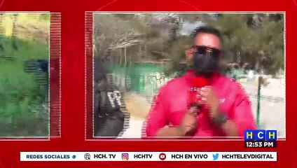 ¡Autoridades erradican narcolaboratorio y 82 mil arbustos de Coca cultivados en Patuca!