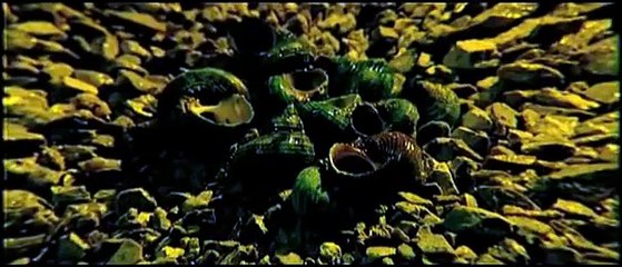 A Play Entitled Sehnsucht | movie | 2012 | Official Trailer