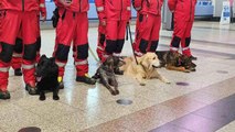 Çek arama-kurtarma ekibi Çekya'dan Türkiye'ye hareket ettiÇek ekibinde gönüllü 1 Türk vatandaşı da bulunuyor