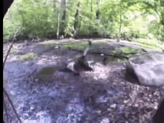 LSD Riders - Take it & Love it | movie | 2005 | Official Trailer