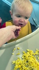 Son Doesn't Enjoy Moms Eggs