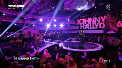 Johnny Hallyday - les grands duos - 2015