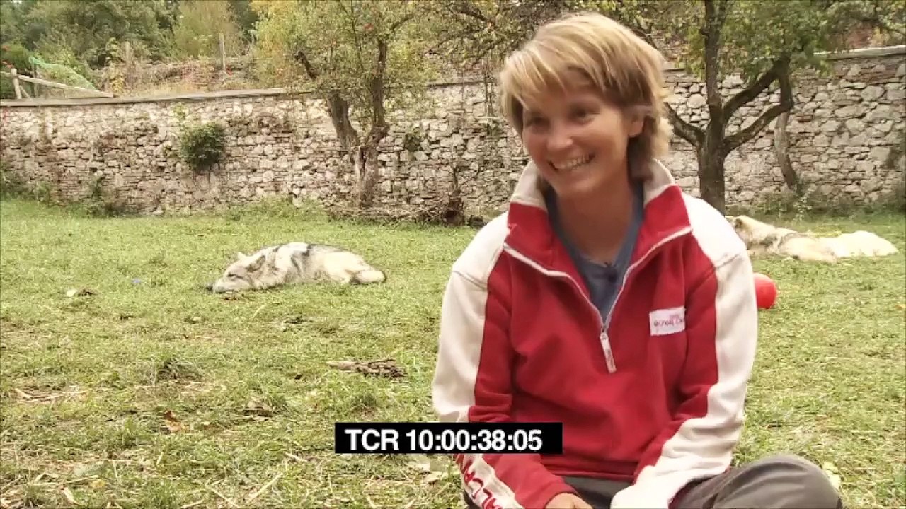 Mit Wölfen unter einer Decke | show | 2011 | Official Trailer