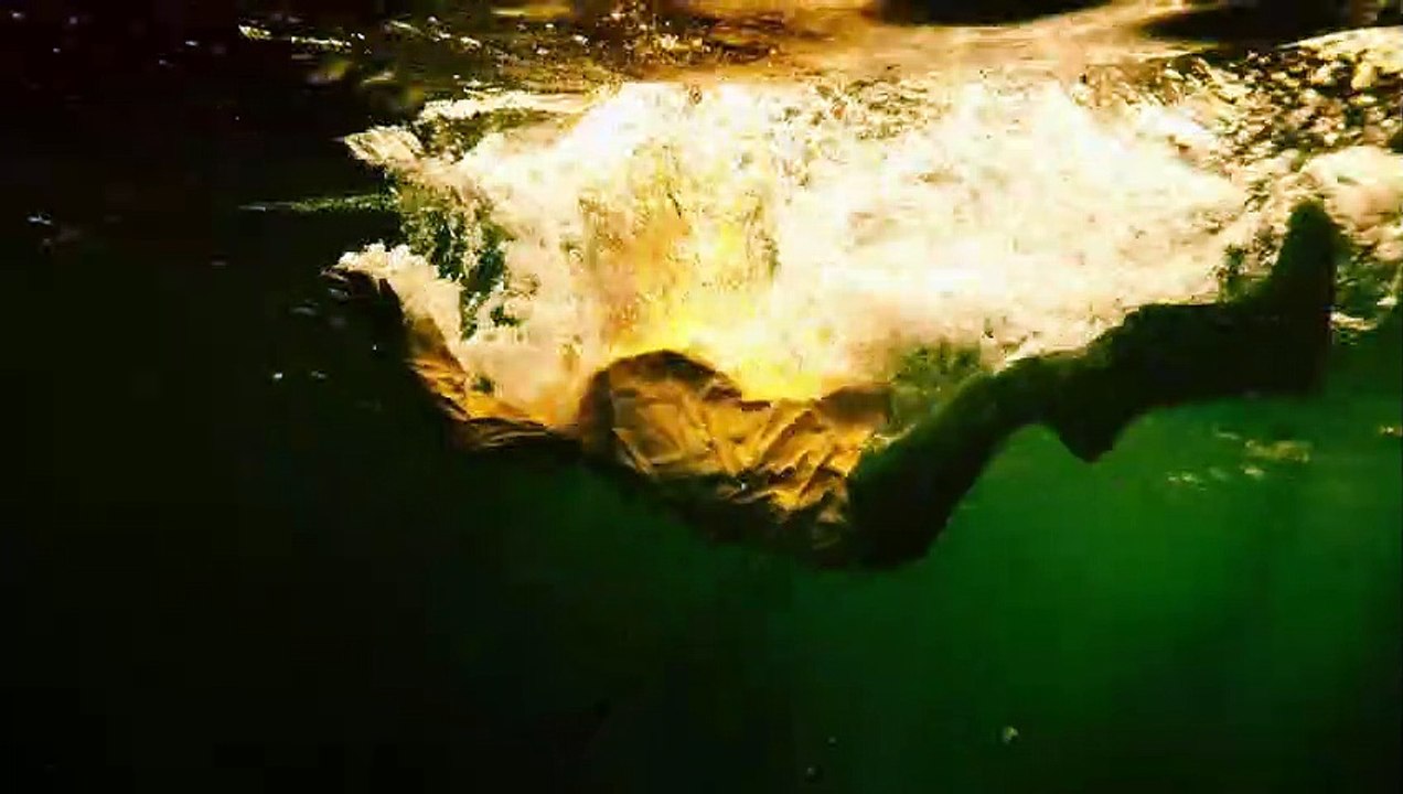 Born to Kill | show | 2017 | Official Trailer