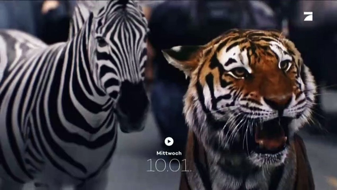 Zoo | show | 2015 | Official Trailer