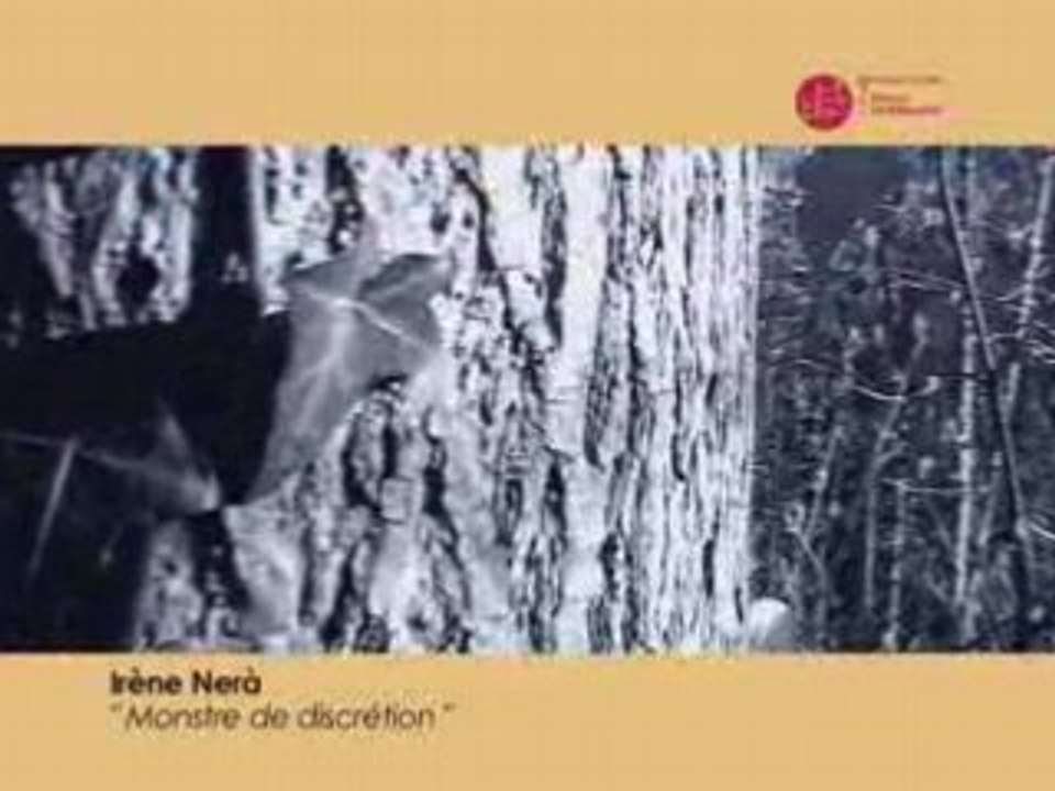 Monstre de discretion - Irène nerà