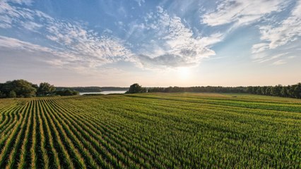 Cory Booker Wants to Empower a New Generation of Black Farmers