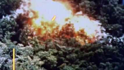 1971: Das Jahr, in dem Musik alles veränderte | show | 2021 | Official Trailer