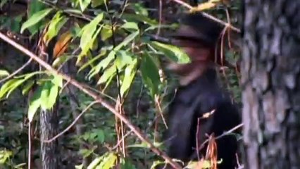 Creepy Canada | show | 2002 | Official Teaser