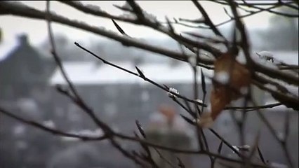 Real Wife Swaps | show | 2004 | Official Teaser