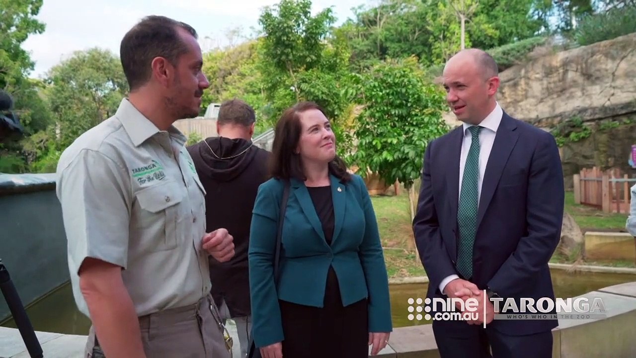 Taronga: Who's Who In The Zoo | show | 2020 | Official Clip