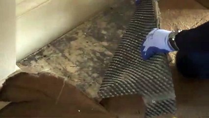 George Clarke's Old House, New Home | show | 2016 | Official Clip