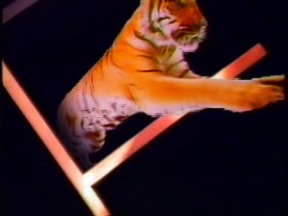 Roda de Fogo | show | 1978 | Official Clip