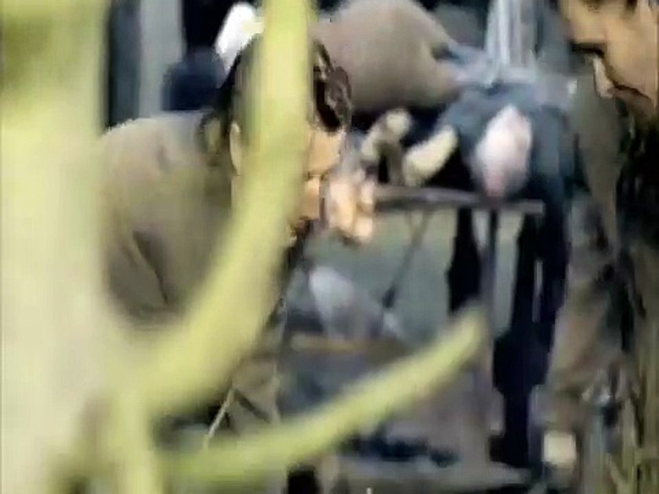 Die Kinder von Blankenese | movie | 2010 | Official Trailer