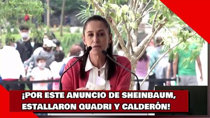 ¡POR ESTE ANUNCIO DE SHEINBAUM,ESTALLARON QUADRI Y CALDERÓN!