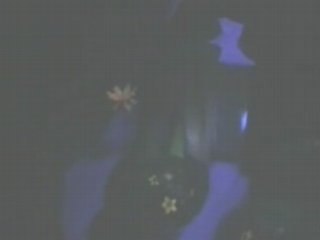 Peter Pan's Flight-Fantasyland-Magic Kingdom