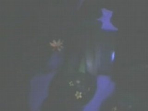 Peter Pan's Flight-Fantasyland-Magic Kingdom