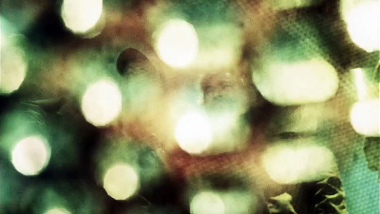 Phase IV | movie | 1975 | Official Trailer