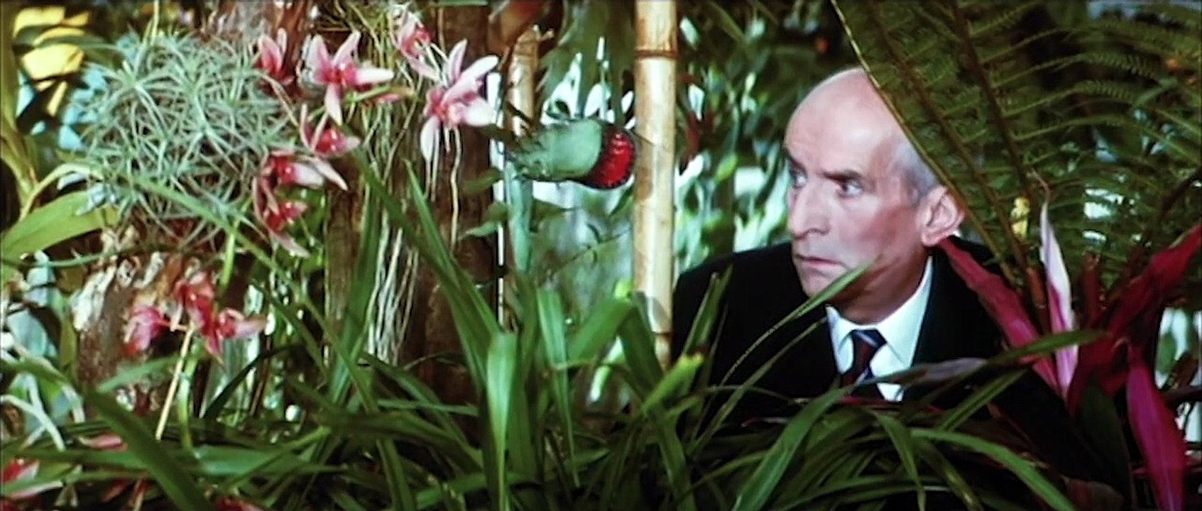 Der Querkopf | movie | 1978 | Official Trailer