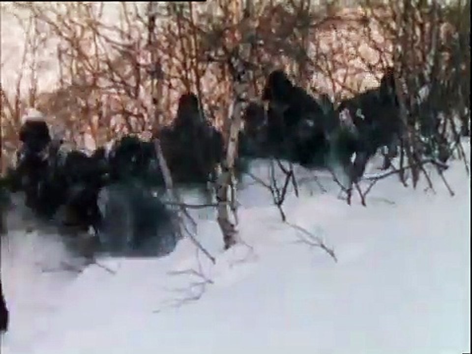 Pathfinder | movie | 1987 | Official Trailer