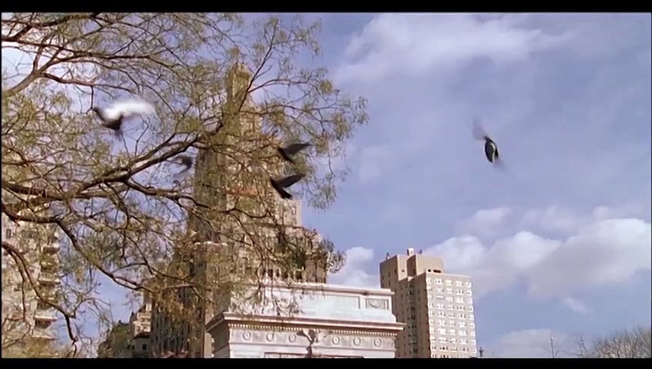 Fifty Pills | movie | 2006 | Official Trailer