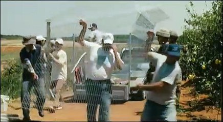 עץ לימון | movie | 2008 | Official Trailer