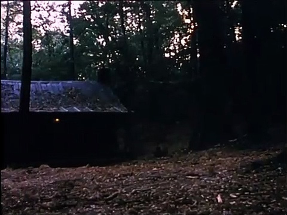 Tanz der Teufel 2 - Jetzt wird noch mehr getanzt | movie | 1987 | Official Trailer