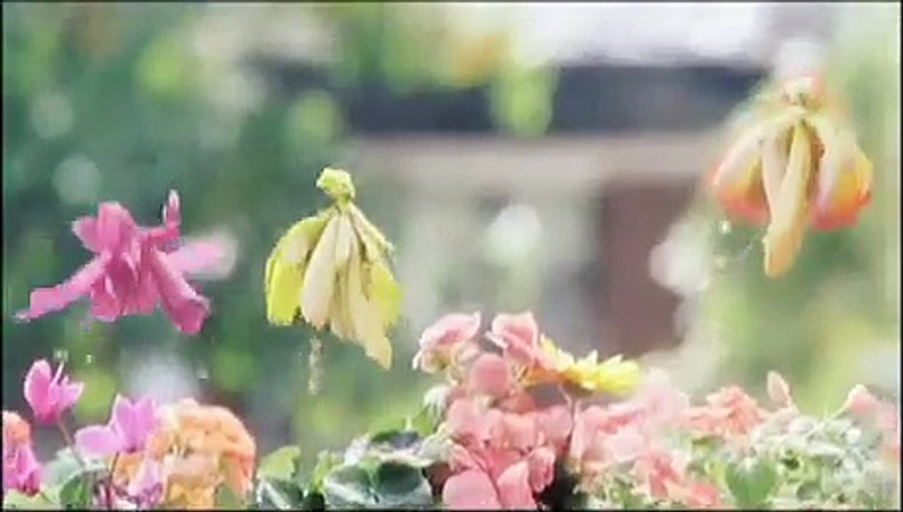 Die Geheimnisse der Spiderwicks | movie | 2008 | Official Trailer