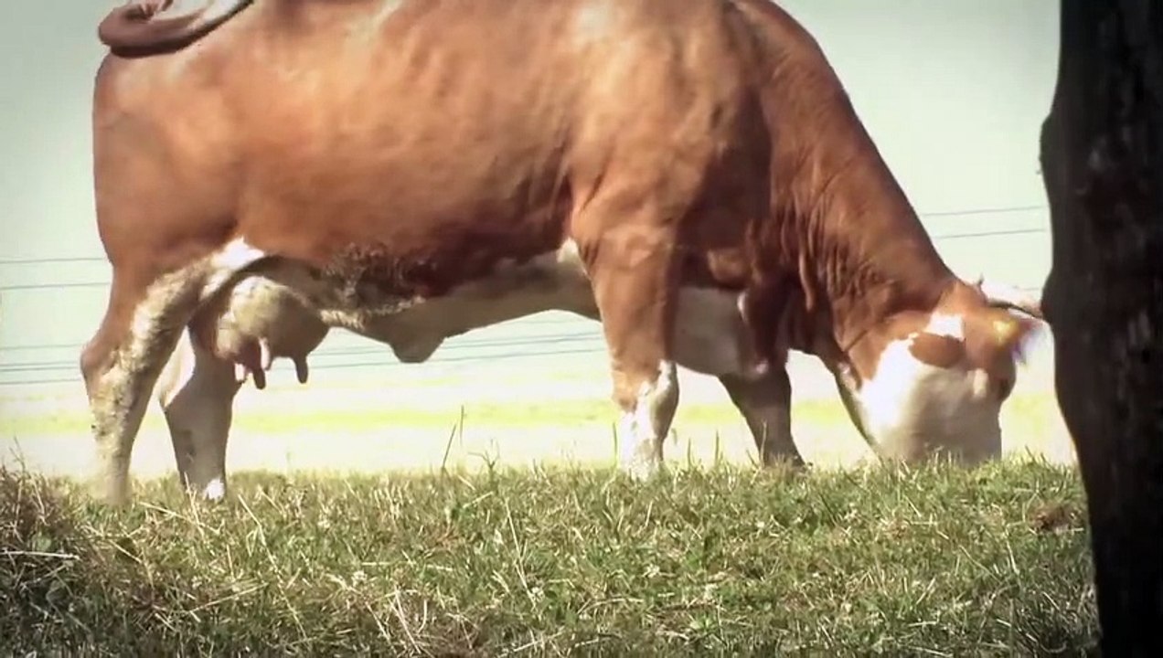 Zombies from Outer Space | movie | 2012 | Official Trailer