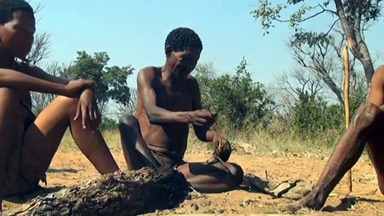 Amazing Africa | movie | 2012 | Official Trailer