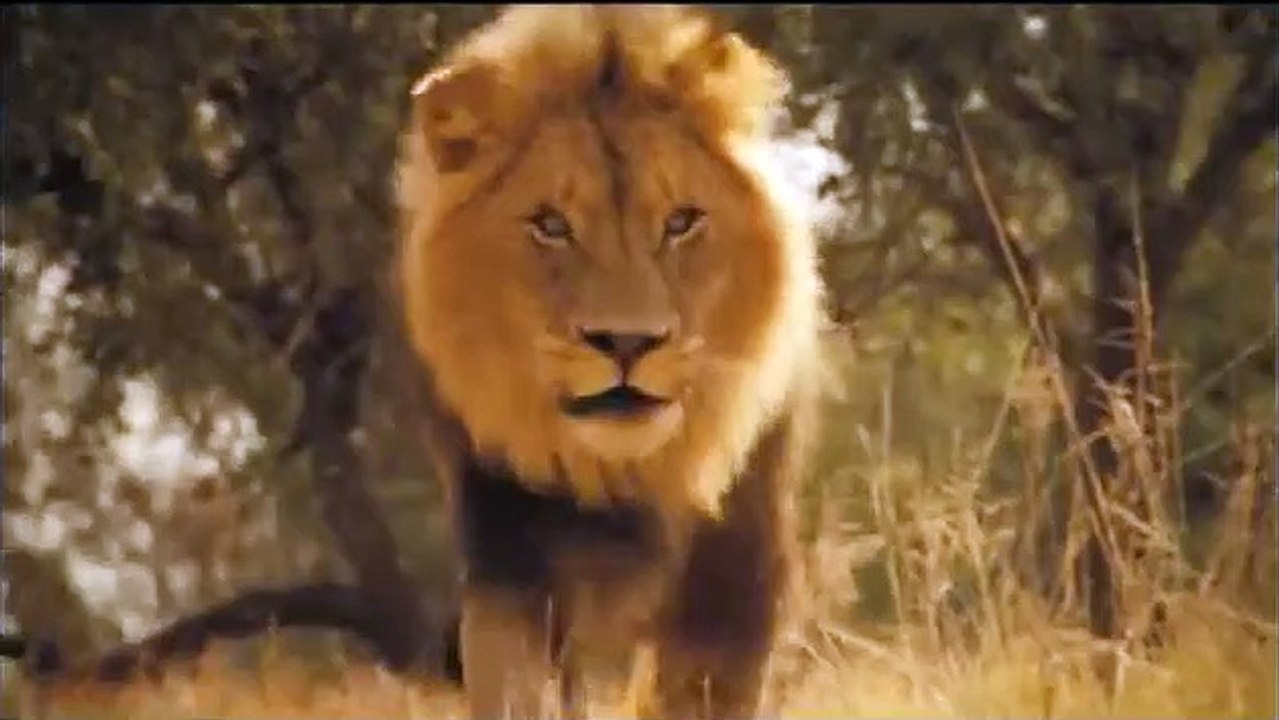 Wächter der Wüste | movie | 2008 | Official Trailer