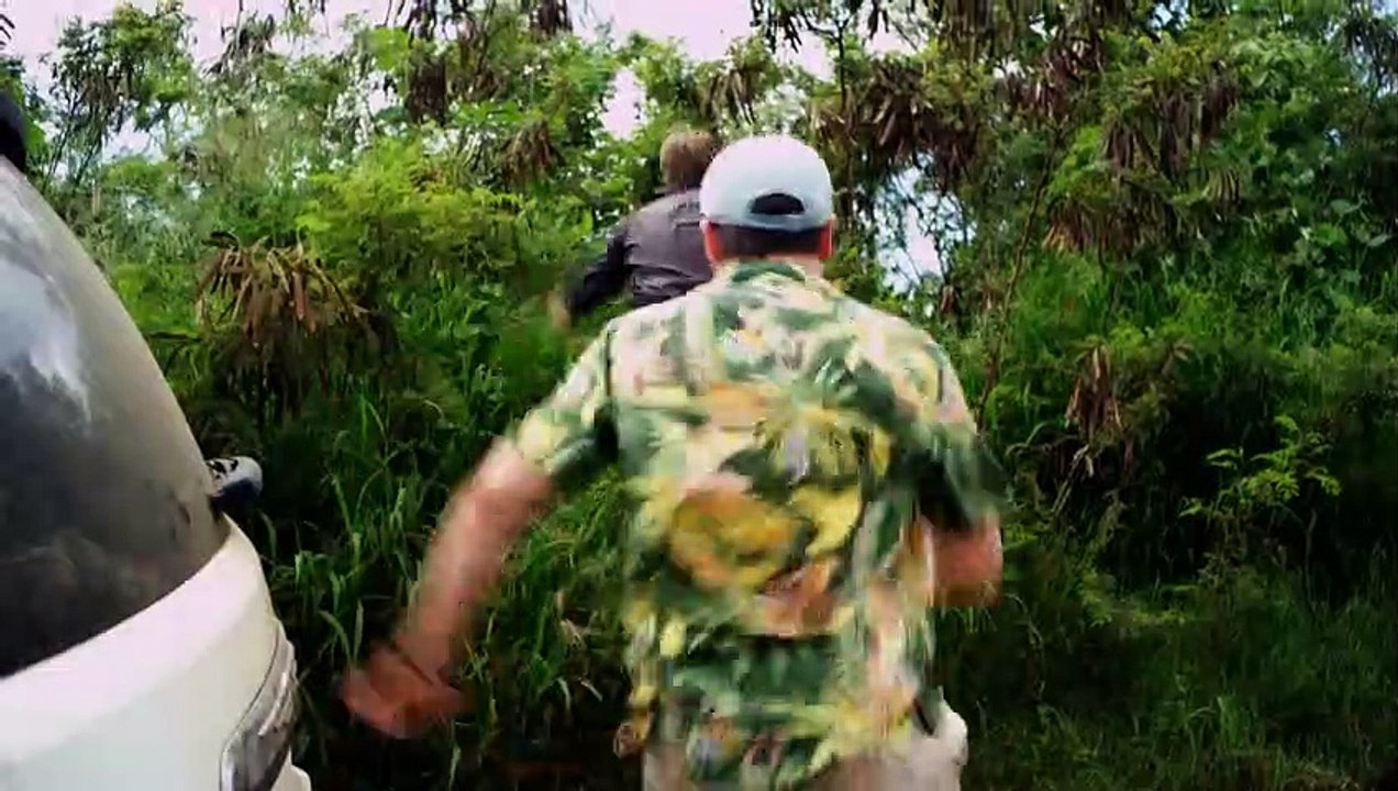 Piranhaconda | movie | 2012 | Official Trailer