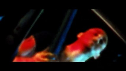 No One Lives - Keiner überlebt! | movie | 2013 | Official Trailer