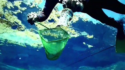 Мусор | movie | 2012 | Official Trailer