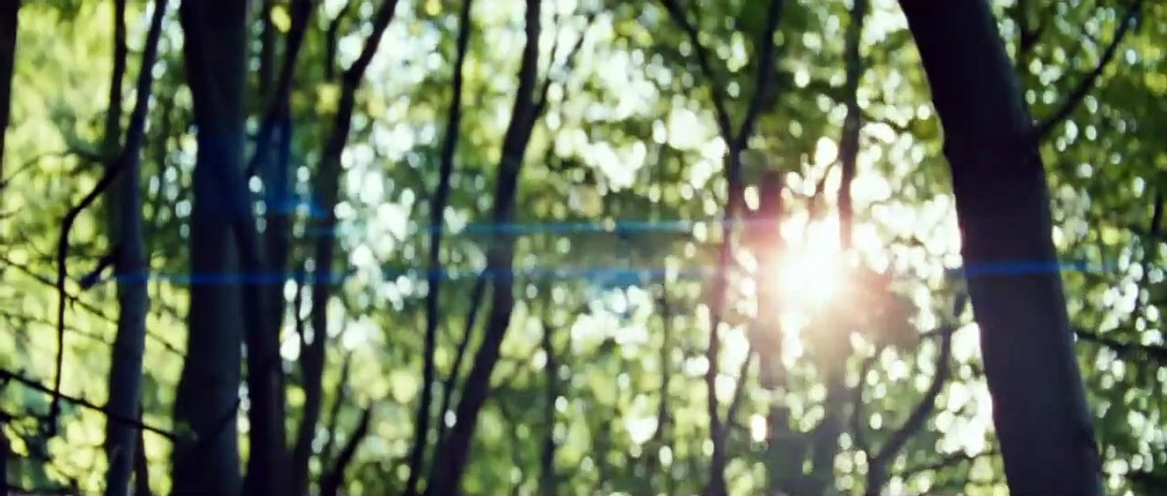 Schilf - Alles was denkbar ist existiert | movie | 2012 | Official Trailer