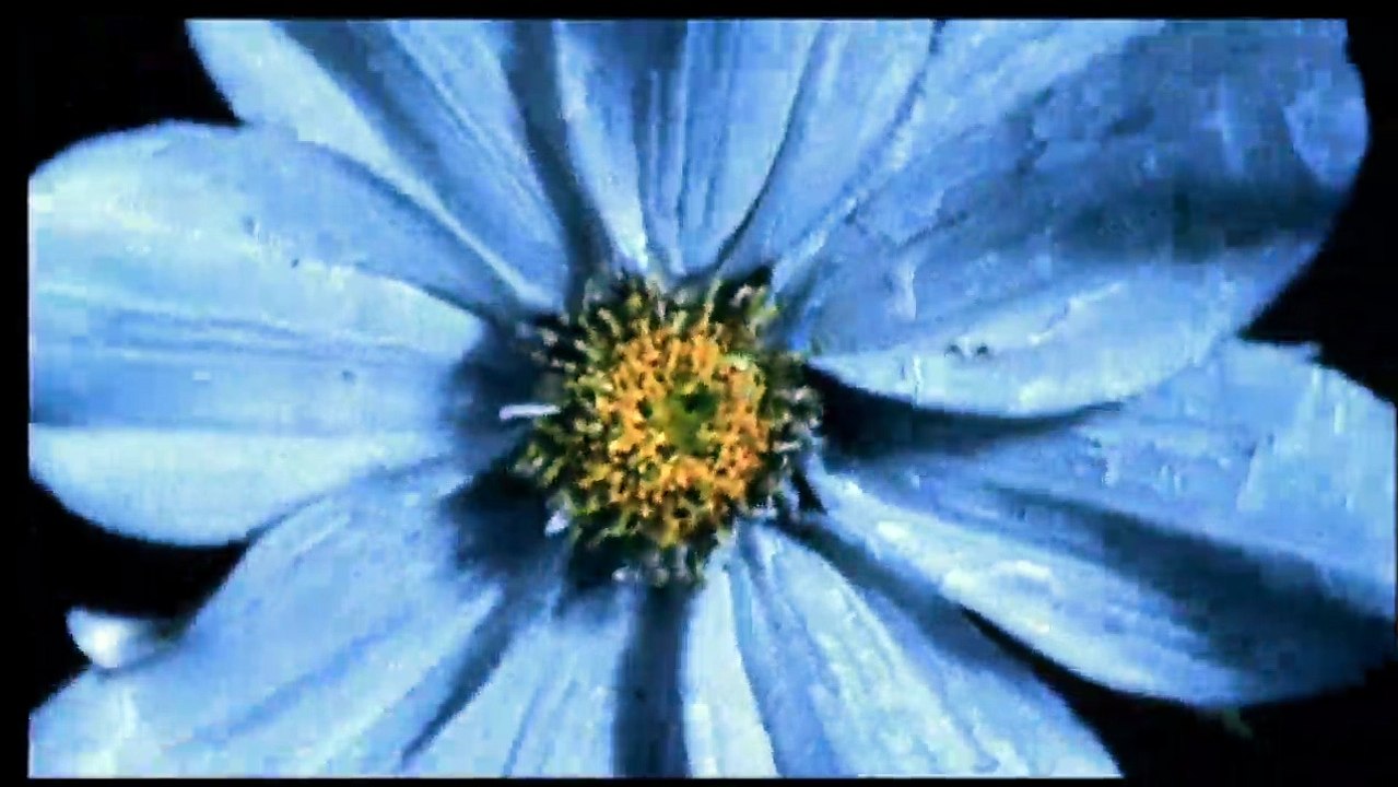 Wie Feuer und Flamme | movie | 2001 | Official Trailer