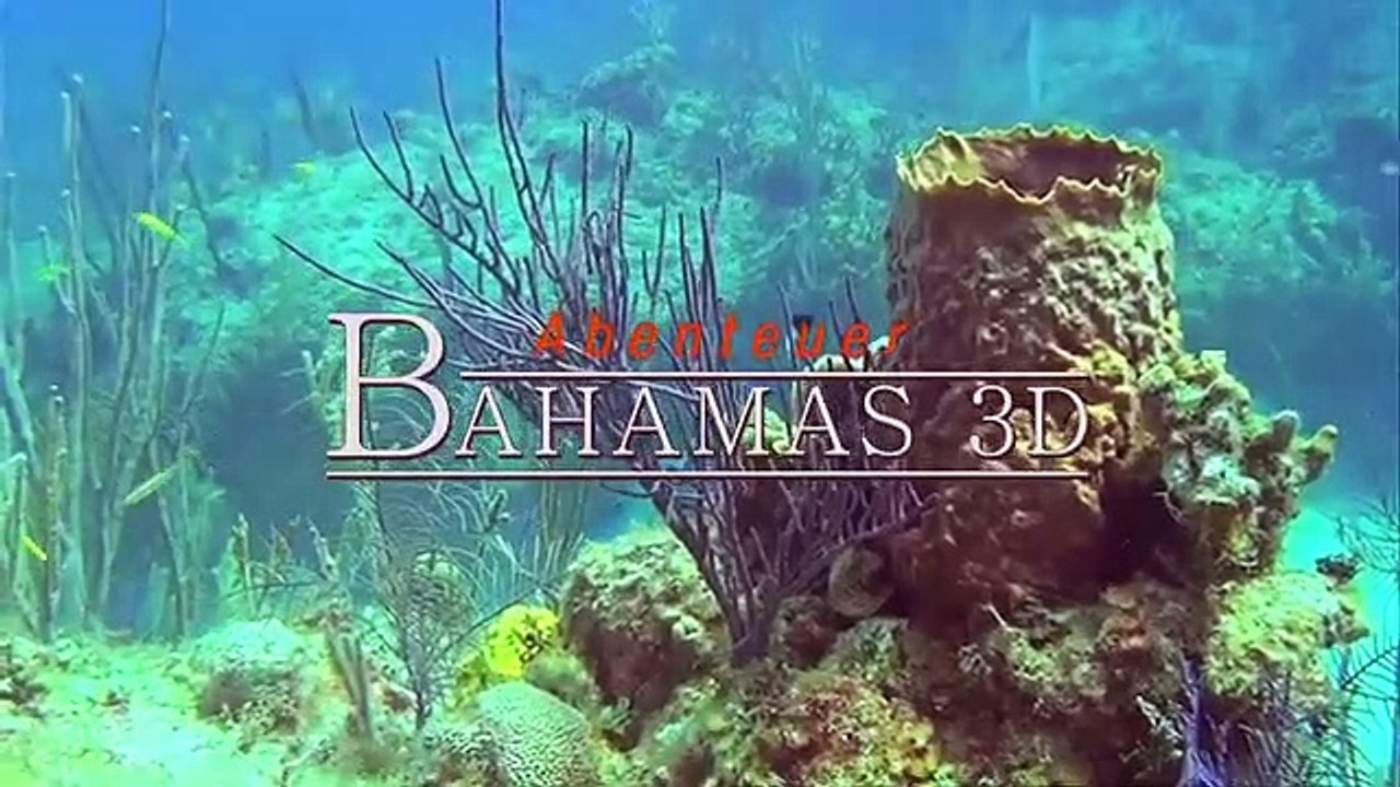 Abenteuer Bahamas 3D - Mysteriöse Höhlen und Wracks | movie | 2012 | Official Trailer